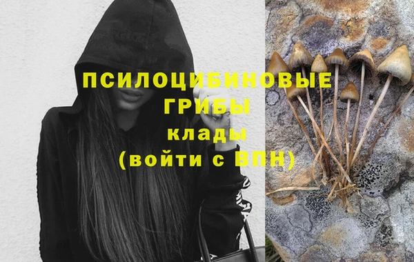 Альфа ПВП Краснослободск
